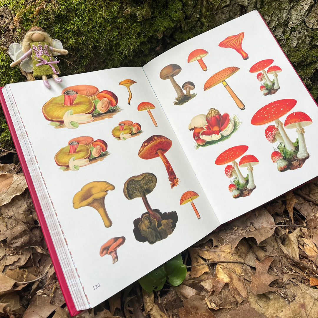 The Forests, Fairies and Fungi Sticker Anthology