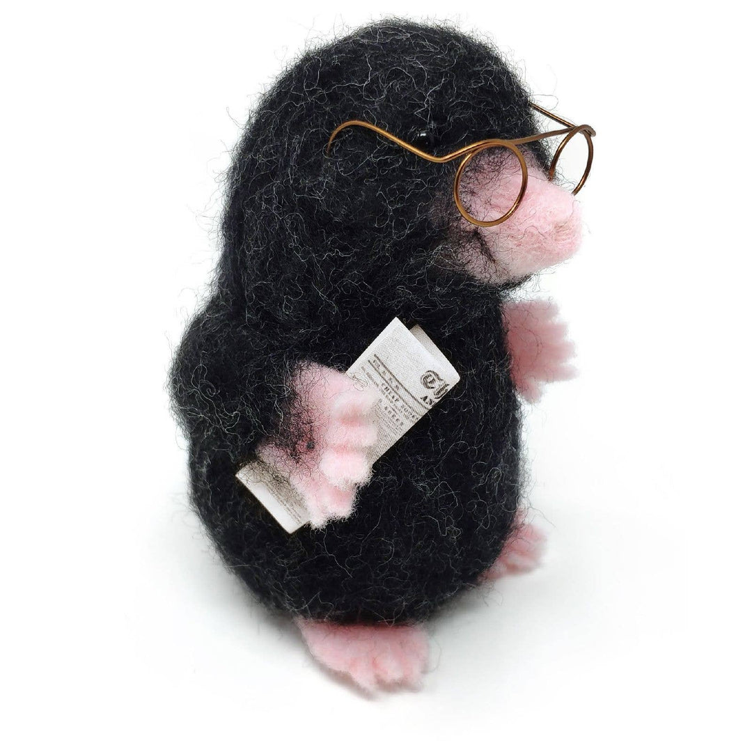 Mr Mole Needle Felting Kit